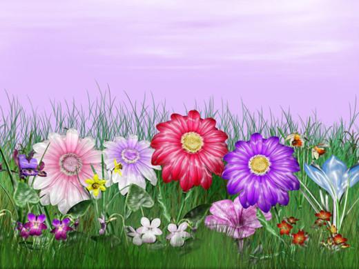 297872 (a): :1024x768
